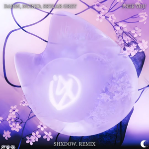 I See You (shXdow. remix)