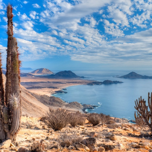 【FREE】“Desert"UK x NY Drill Type Beat