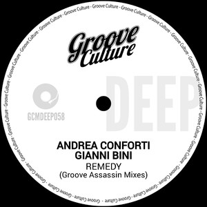Remedy (Groove Assassin Instrumental Mix)