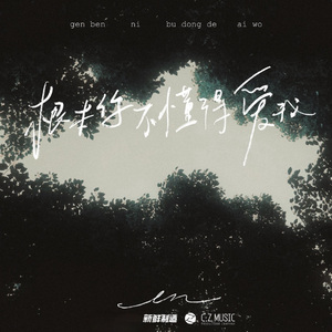 根本你不懂得爱我（DJ版）