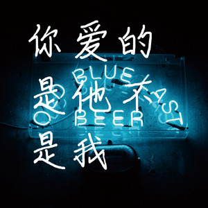 你爱的是他不是我