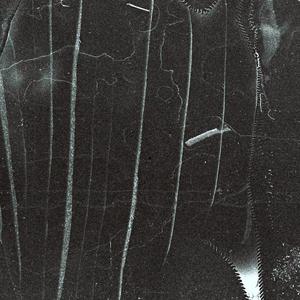 Samba (feat. Francisco Citera)