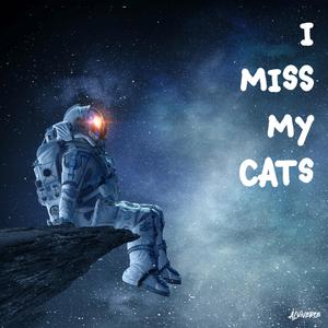 HE Ignores