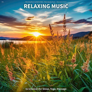 Relaxing Music to Work To