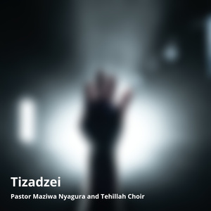 Tizadzei