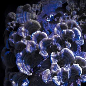 Pomnik czasów pogardy