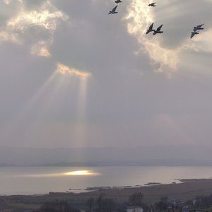 霓虹与银河