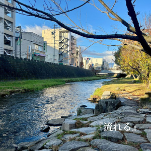 流れる