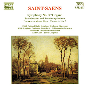 Piano Concerto No. 2 in G Minor, Op. 22:I. Andante sostenuto