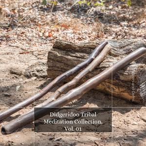 Didgeridoo Culture Drums