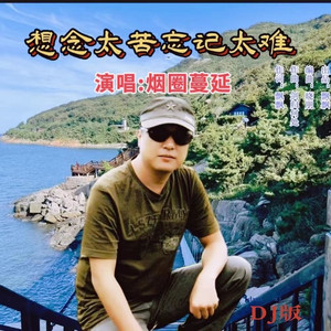 想你太苦忘记太难 (晓朋DJ)