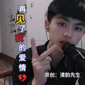 再见了我的爱情