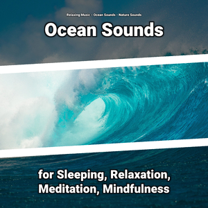 Ocean Sounds
