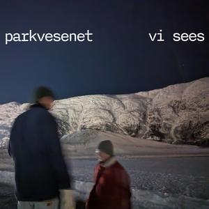 GULT NIVÅ (feat. heddasotkajærvihestvik)