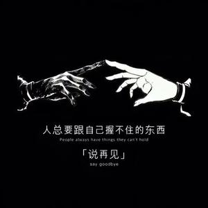 偏爱Remix（女声版）