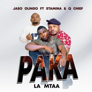 PAKA LA MTAA (feat. Stamina & Qchief)