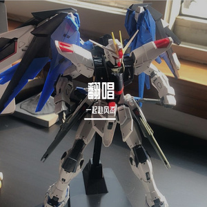 闪着泪光的决定（翻唱）