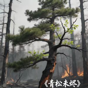 青松未烬_QQ浏览器格式转换_QQ浏览器转格式