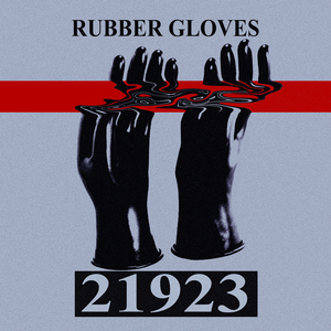 Rubber Gloves 21923