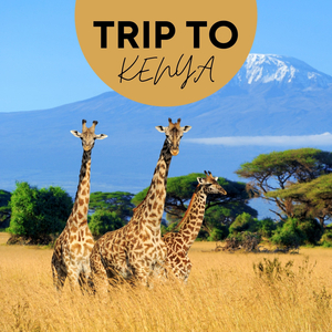 Vuoi Diventare Famosa?