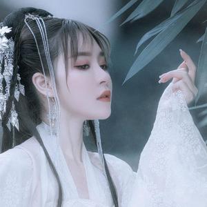 达摩 (6)