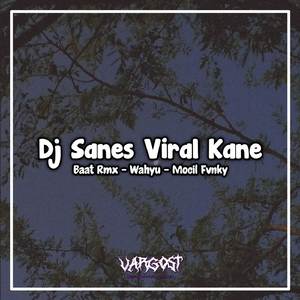 Dj Sanes Kane (VIral Tik Tok)