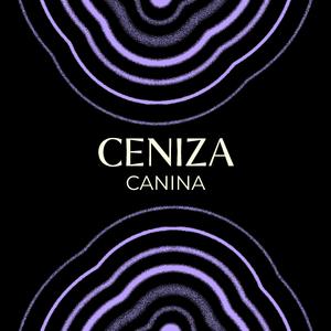 Ceniza