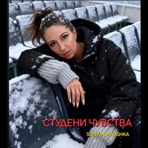 СТУДЕНИ ЧУВСТВА