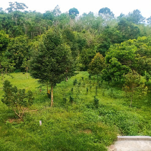 Dj Aku Sekuat Hati Bertahan