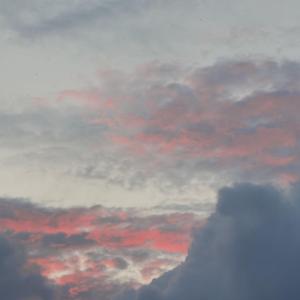 天命demo（prod by lil nickle）