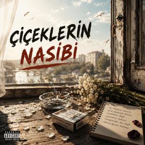 Çiçeklerin Nasibi