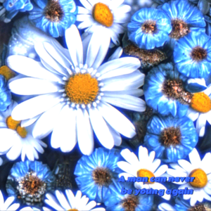 你说你听不来说唱