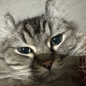 你说你担心的是我（cover都智文）.wav