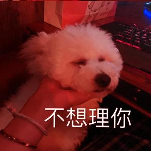 你不知道我为什么不想唱了