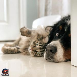 In Your Head (feat. Isaac G & Val)