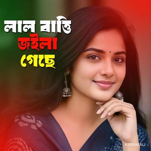 লাল বাত্তি জইলা গেছে