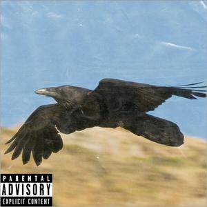 Raven
