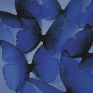 7号入口（Prod.by #Rye/NO_BORDER）