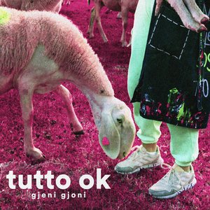 Tutto ok
