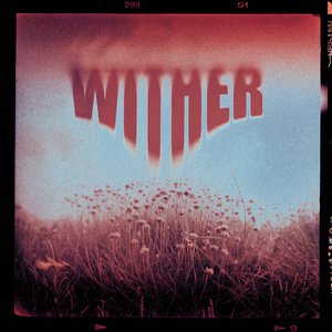 wither
