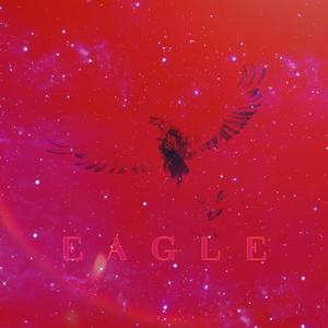 鹰(Eagle)伴奏