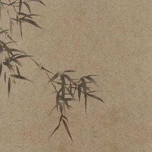 探秘萤火虫世界