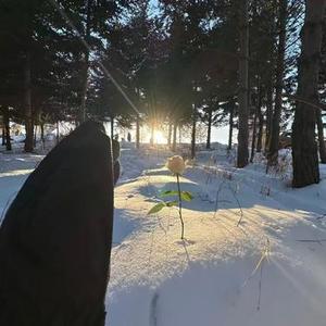 别让我放不下 (DJ旋律版) (Cover 婷汐、李俊杰)