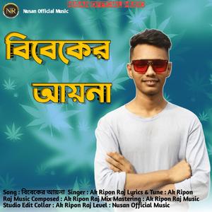 বিবেকের আয়না