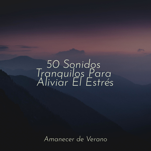 Más allá del borde del tiempo