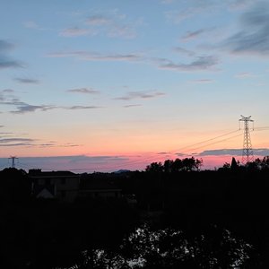 半支夏