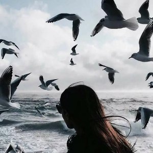 雷总小米进行曲.