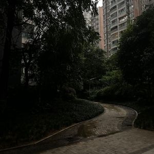 江湖之间