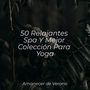 Oasis Melódico del Infinito