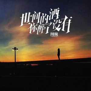 世间的酒你醉了没有